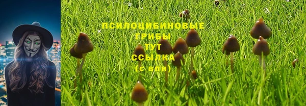 spice Волоколамск